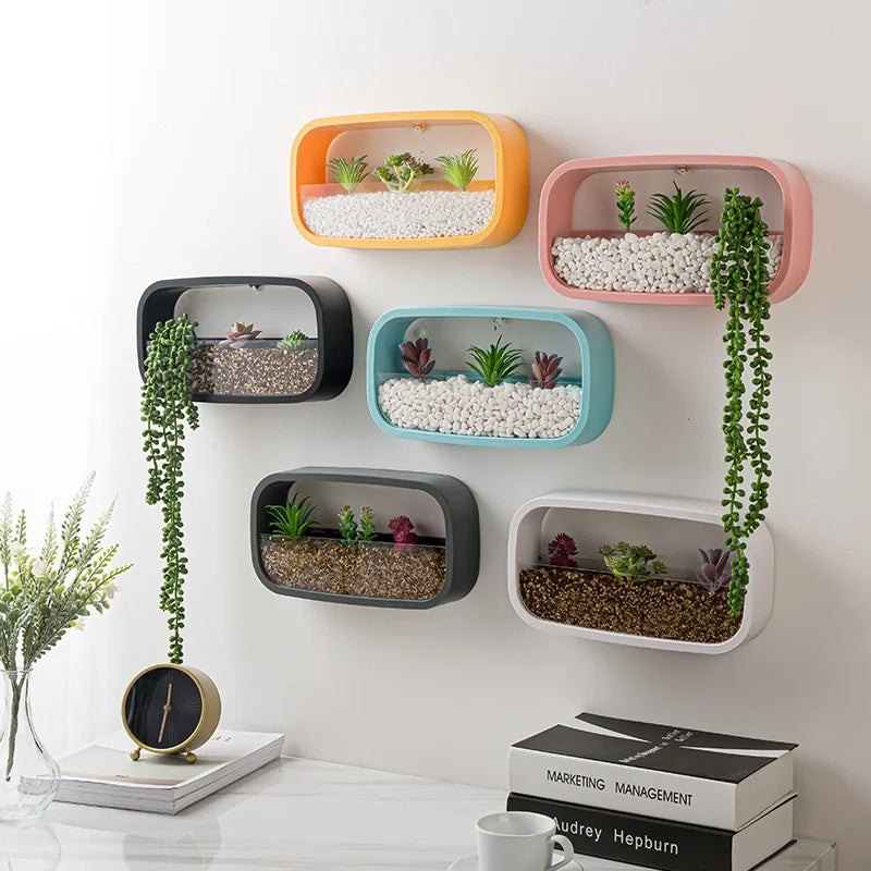 Colorful wall-mounted planters with plants on a white wall.