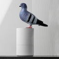 Realistic pigeon perched on a cylindrical white object against a light gray background